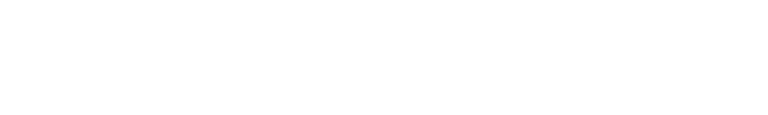 Ultimate Bourbon Auction